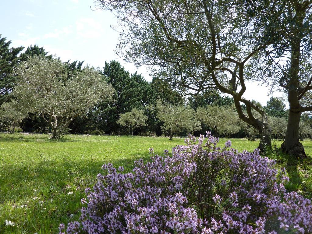 Bed and Breakfast Les Mazets du Luberon à Puget Extérieur photo